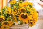 Cuba, Havana. Sunflowers for sale, street market. Art Print